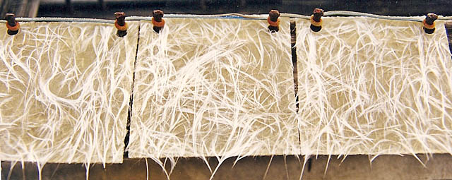 Specialty Testing Sites